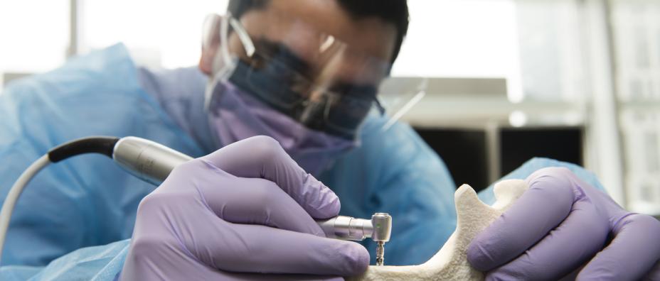 Working on dental piece